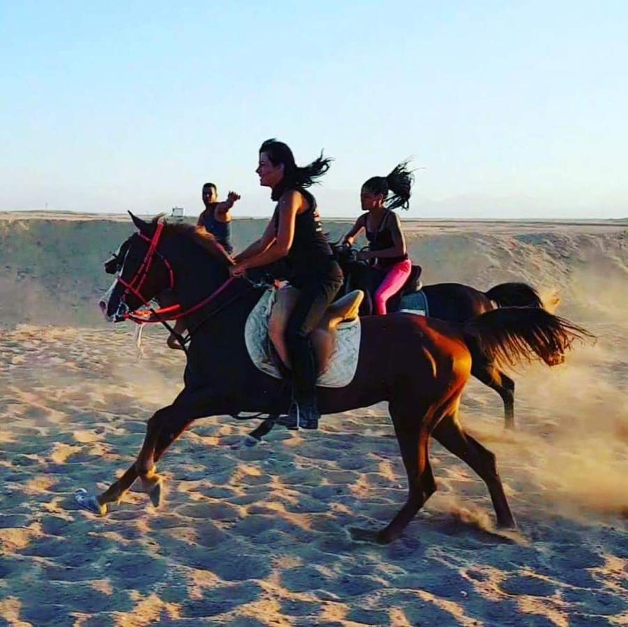 Bed and Breakfast Happy Bedouin House Petra Al Hayy Esterno foto